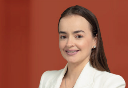 Captura de tela 2024-12-20 165544