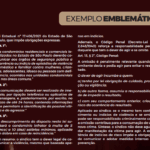 EXEMPLO EMBLEMÁTICO